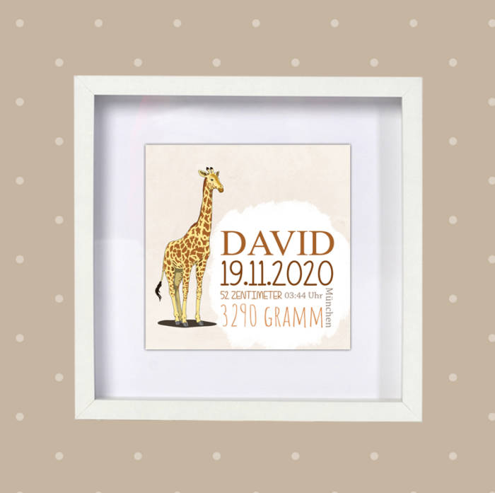 Poster Geburt Giraffe